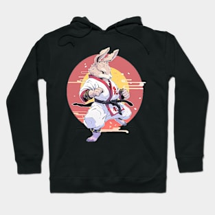 karate rabbit Hoodie